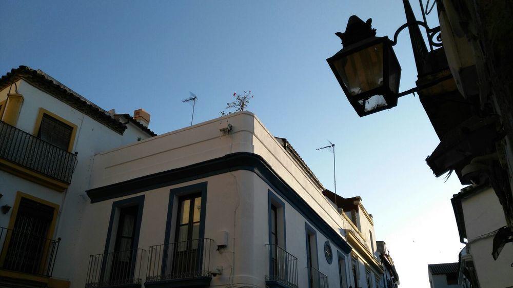 Hostal Azahar Córdova Exterior foto